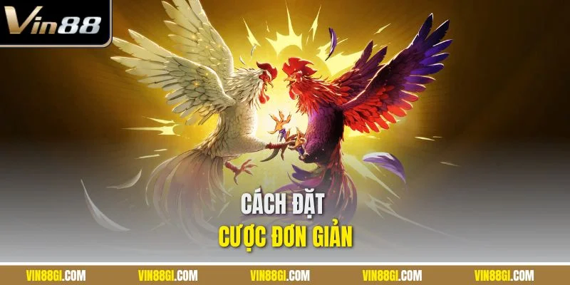 Cách đặt cược đơn giản