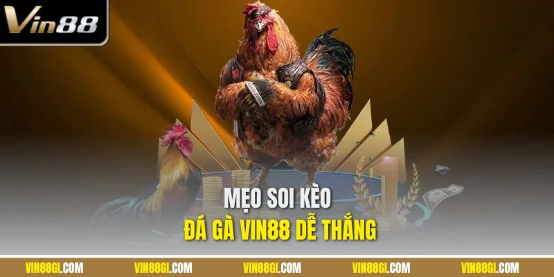 Mẹo soi kèo đá gà VIN88 dễ thắng